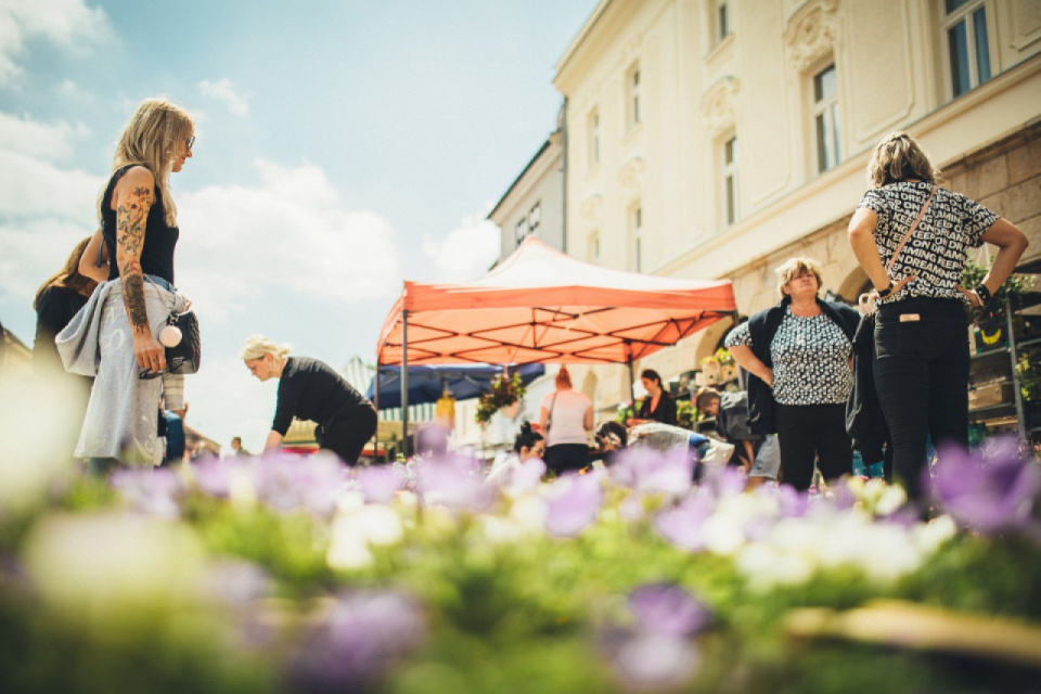 Tri mestá v kraji chytají velké kvetinové podujatia | Foto: Marek Martinek (Zaži v Trnave)