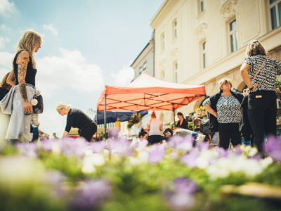 Tri mestá v kraji chytají velké kvetinové podujatia | Foto: Marek Martinek (Zaži v Trnave)